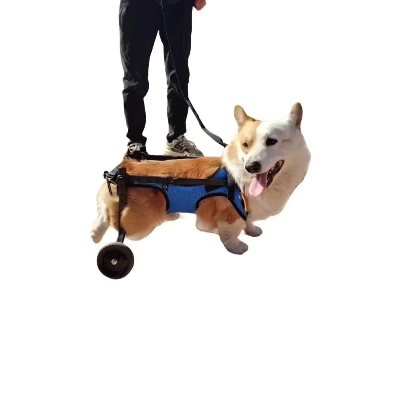 Adjustable Pet Wheelchair - Mobility Aid for Disabled Dogs - Lightweight Rehabilitation Trolley