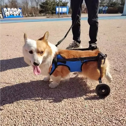 Adjustable Pet Wheelchair - Mobility Aid for Disabled Dogs - Lightweight Rehabilitation Trolley