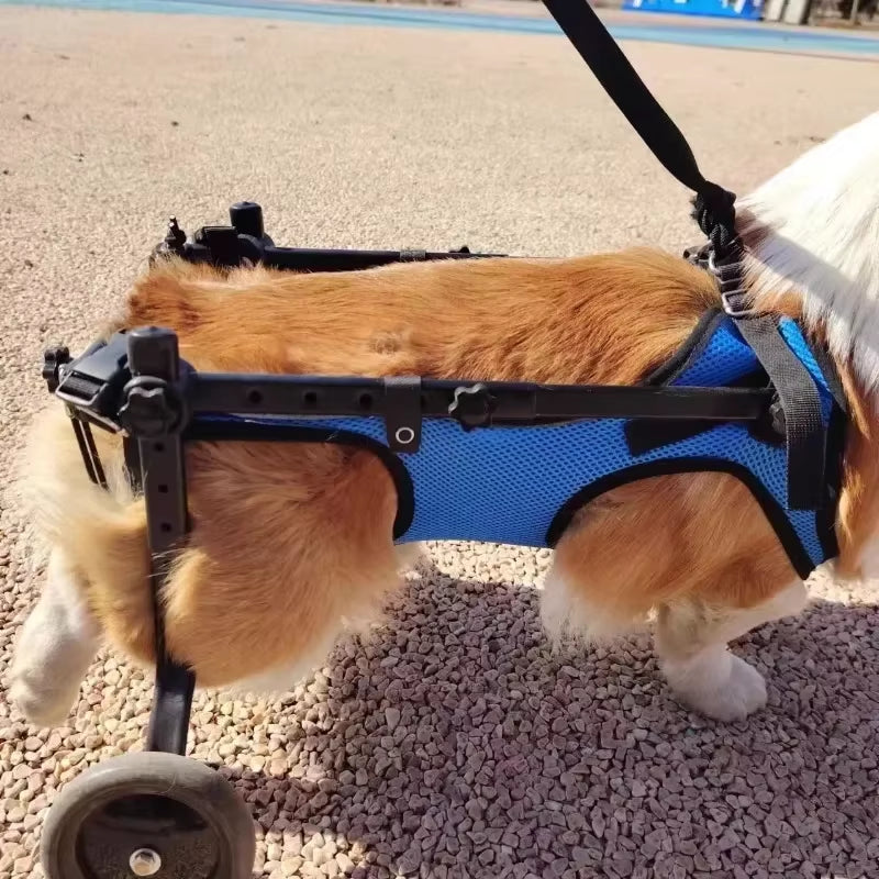 Adjustable Pet Wheelchair - Mobility Aid for Disabled Dogs - Lightweight Rehabilitation Trolley