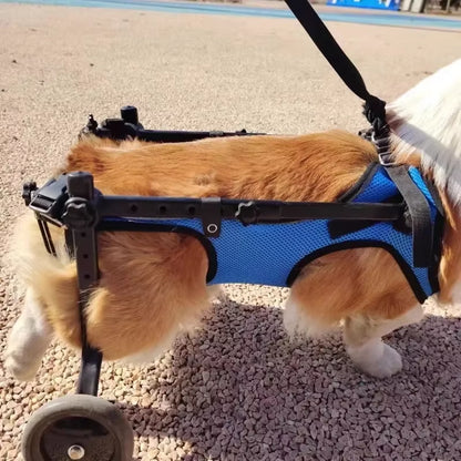 Adjustable Pet Wheelchair - Mobility Aid for Disabled Dogs - Lightweight Rehabilitation Trolley