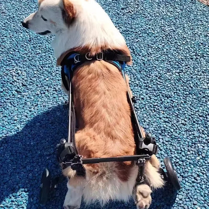 Adjustable Pet Wheelchair - Mobility Aid for Disabled Dogs - Lightweight Rehabilitation Trolley