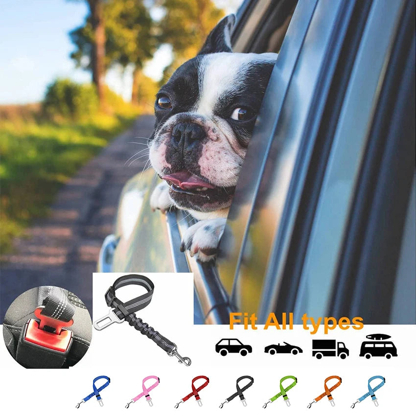 Adjustable Elastic Dog Car Seat Belt - Pet Safety Leash for Travel with Dogs and Cats