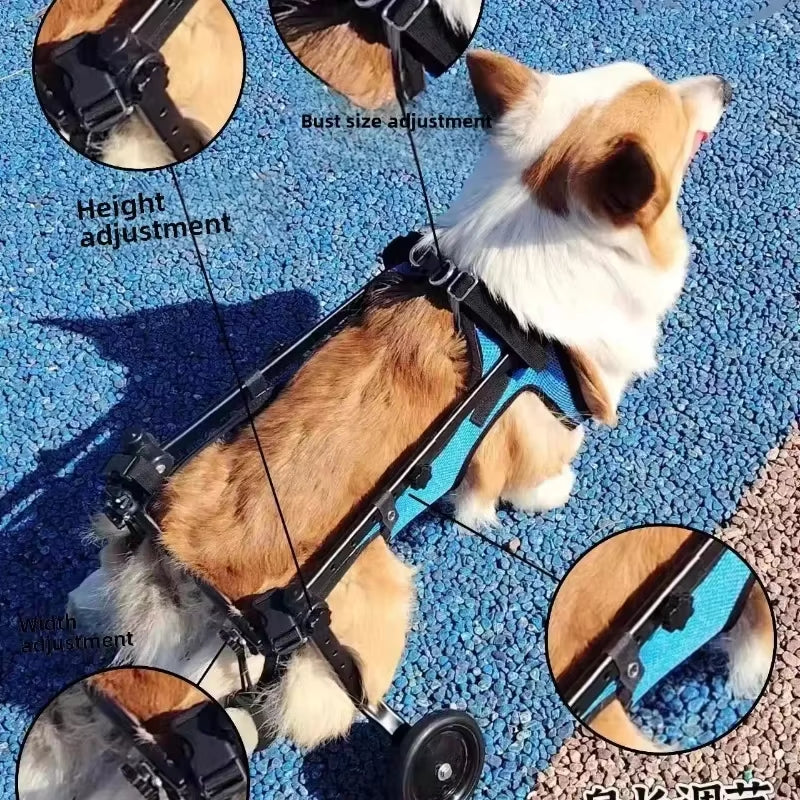 Adjustable Pet Wheelchair - Mobility Aid for Disabled Dogs - Lightweight Rehabilitation Trolley