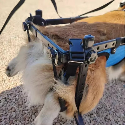 Adjustable Pet Wheelchair - Mobility Aid for Disabled Dogs - Lightweight Rehabilitation Trolley